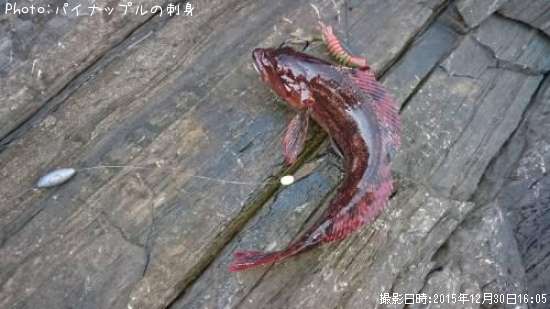 �����ʥ�