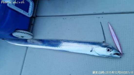 ��᥿������