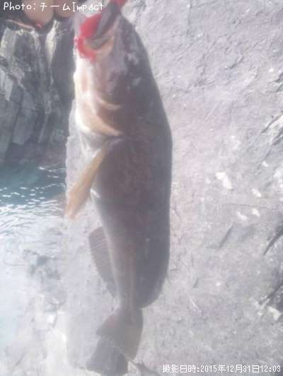 �����ʥ�