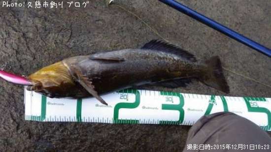 �����ʥ�