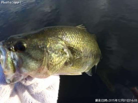 �֥�å��Х�