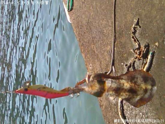 �����ꥤ��