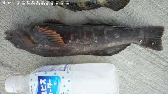 �����ʥ�