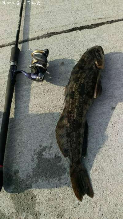 �����ʥ�