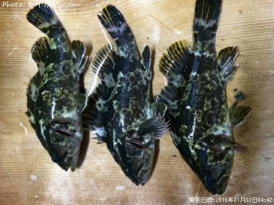 �����Υ���Х�