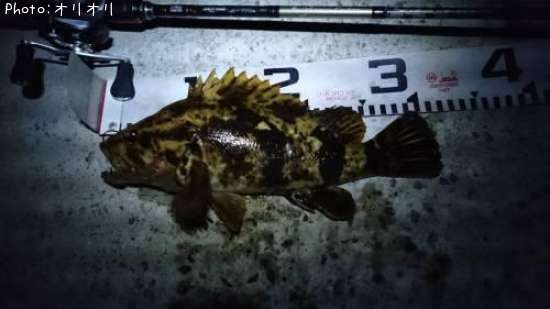 �٥å�������