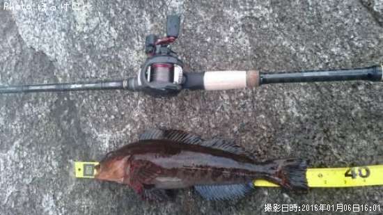 �����ʥ�