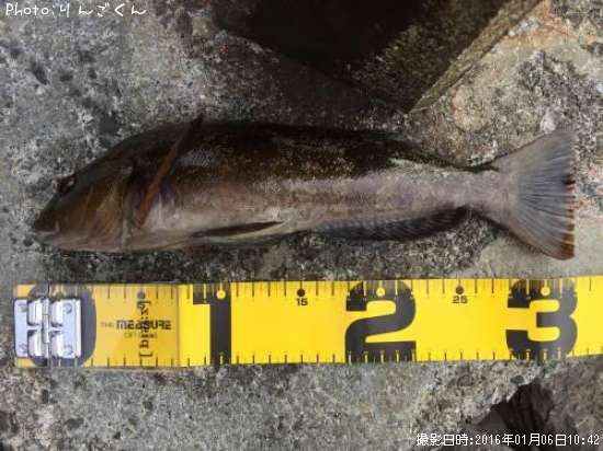 �����ʥ�