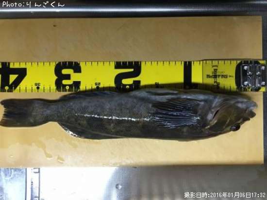 �����ʥ�