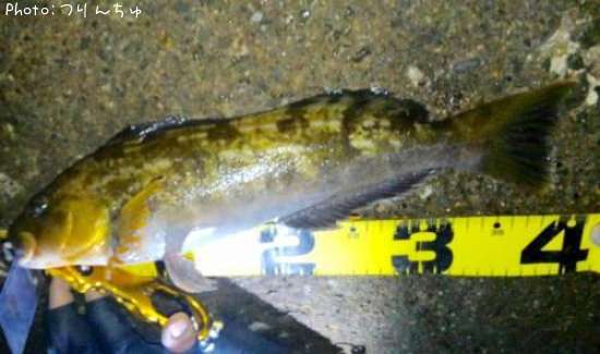 �����ʥ�