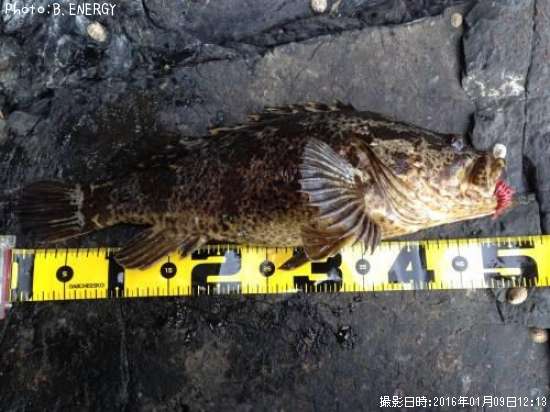 �٥å�������