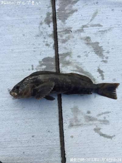 �����ʥ�