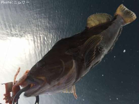 �����ʥ�