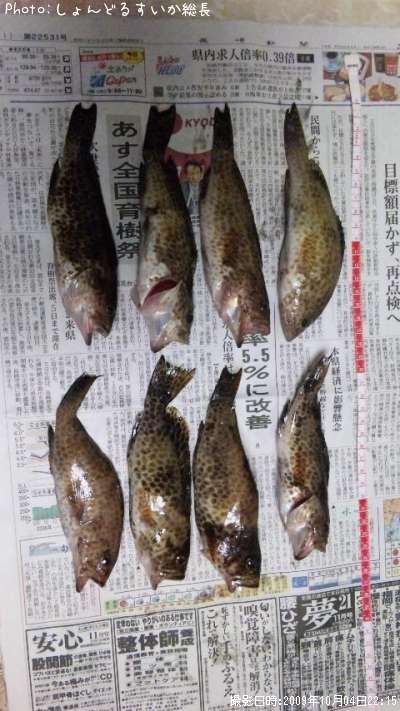 �����ϥ�