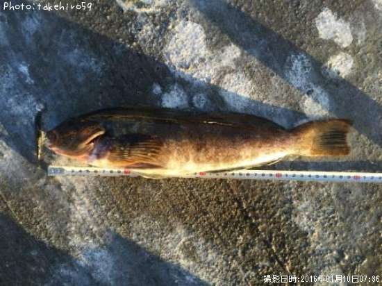 �����ʥ�