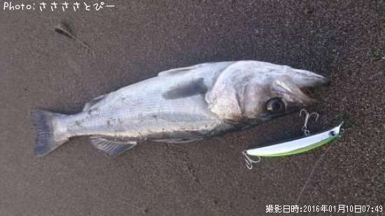 �����ե����Х�