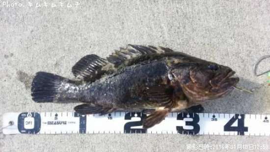 �٥å�������