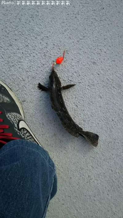 �����ʥ�