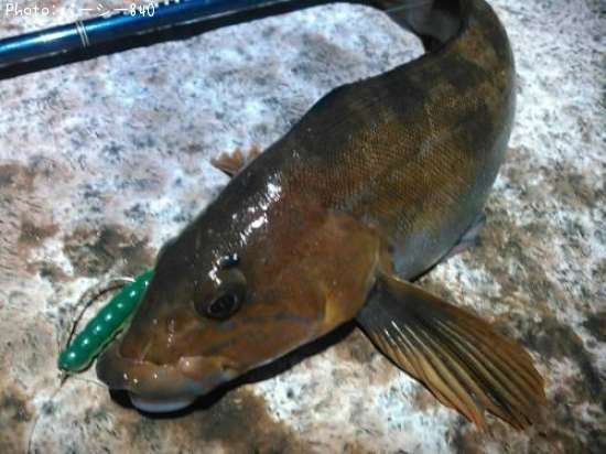 �����ʥ�