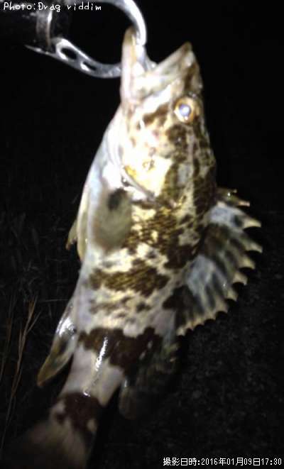 �����Υ���Х�