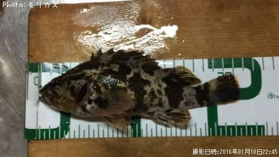 �����Υ���Х�