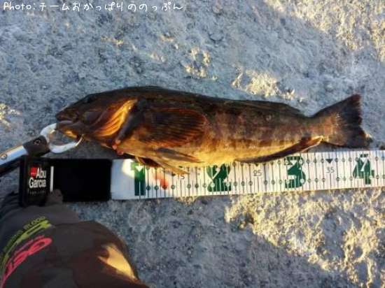 �����ʥ�