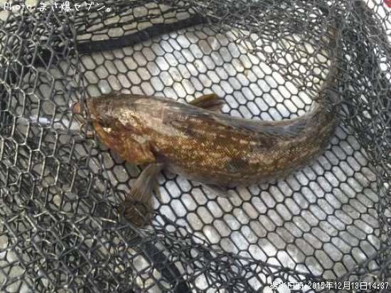 �����ʥ�