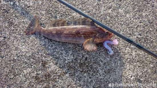 �����ʥ�