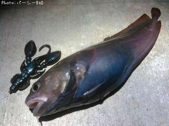 �������������ʥ�