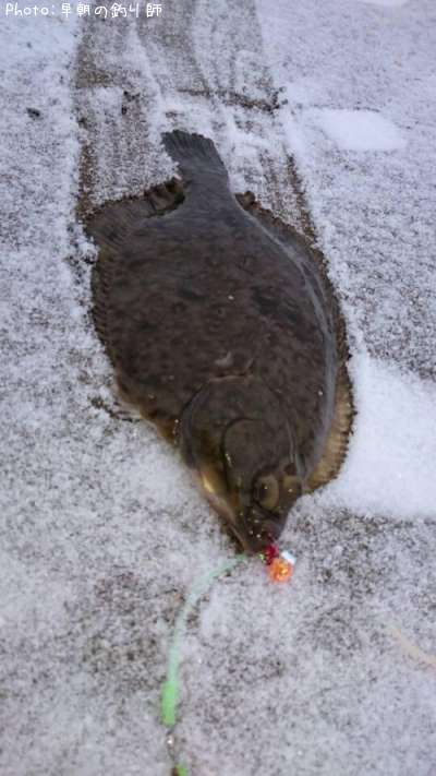 �ޥ����쥤