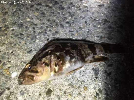 �����Υ���Х�