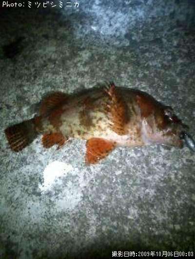 �������Х�