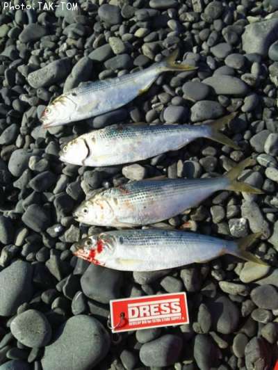 ���Υ���