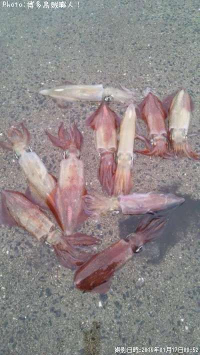 ���󥵥�����