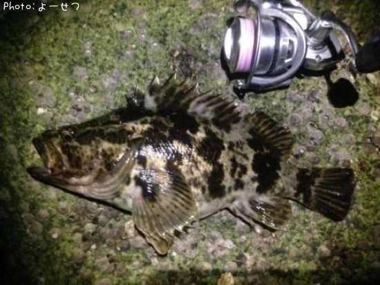 �����Υ���Х�