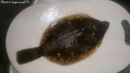 �ޥ����쥤