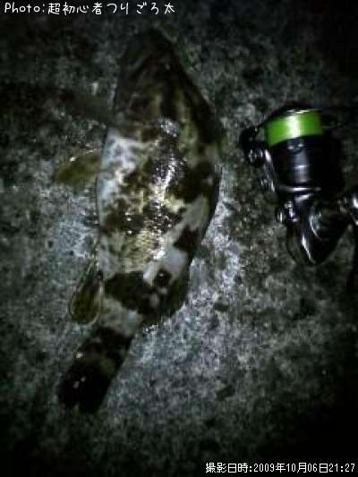 �٥å�������