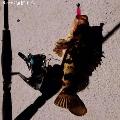 �����Υ���Х�