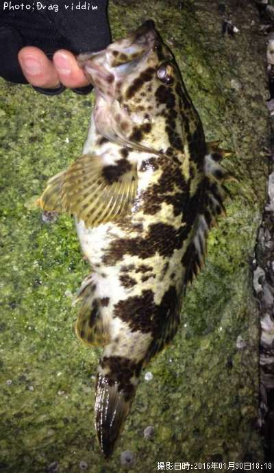 �����Υ���Х�