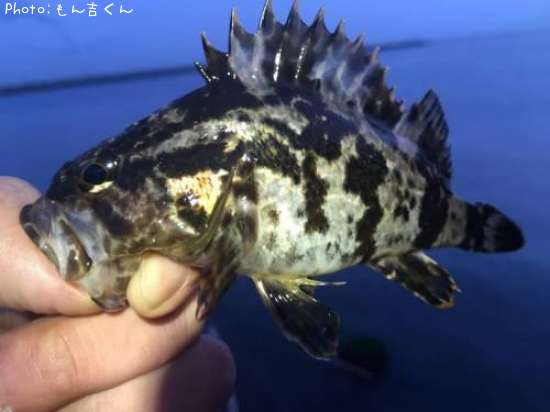 �����Υ���Х�