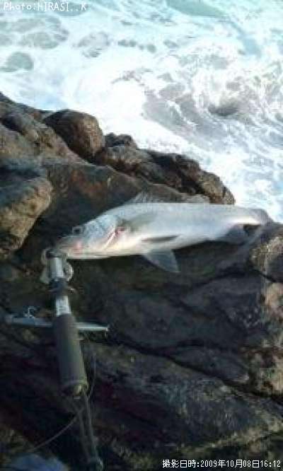 �ҥ饹����