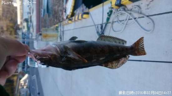 �����ʥ�