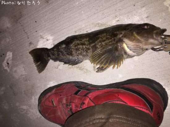 �����ʥ�