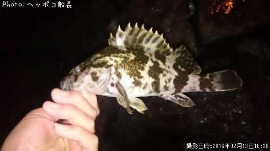 �����Υ���Х�