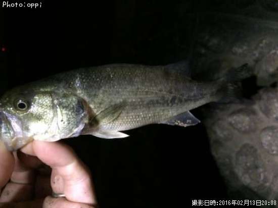 �֥�å��Х�