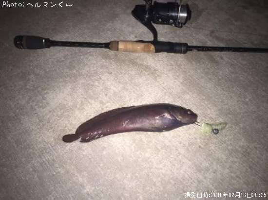 �������������ʥ�