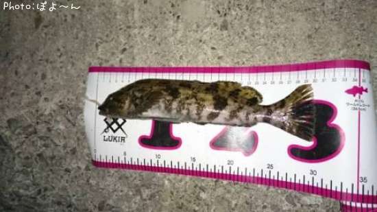 �����ʥ�