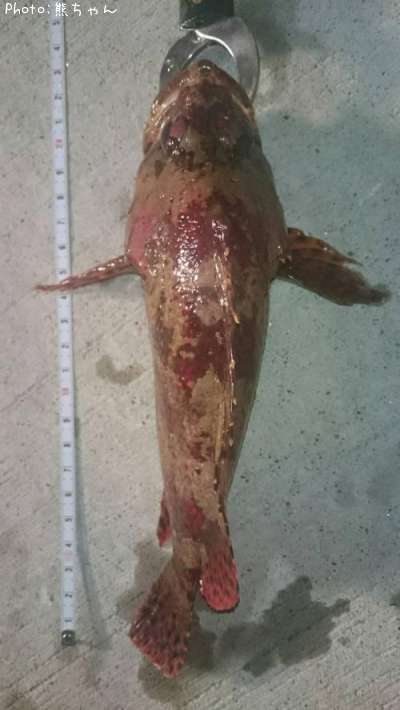 �������Х�