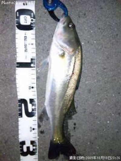 �����Х�