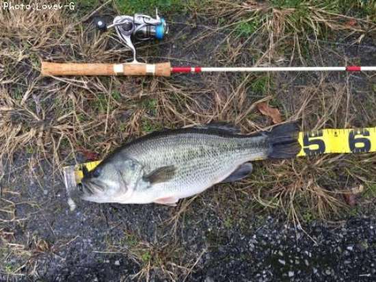 �֥�å��Х�